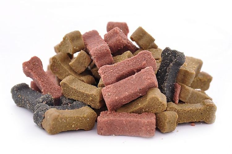 friandises pour chiens