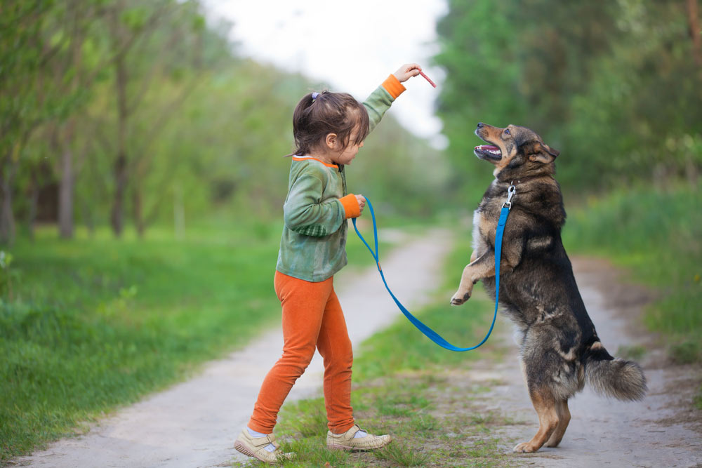 Un enfant et un chien