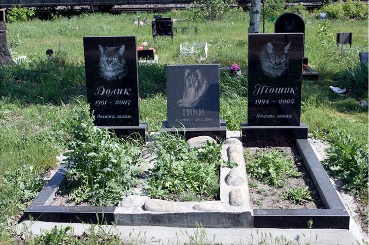 Cimetière pour animaux