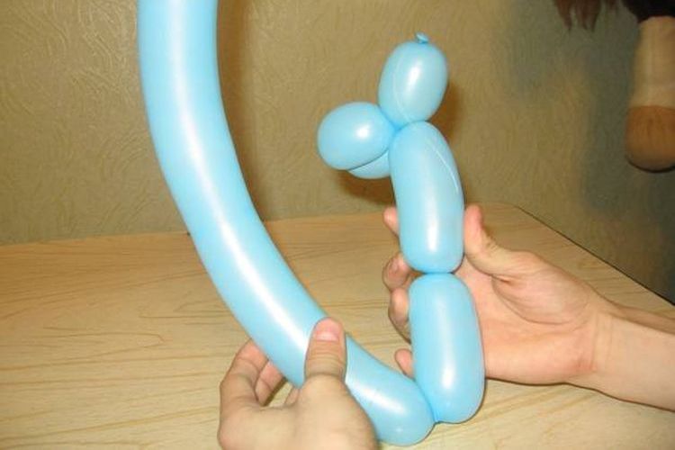 Formation des pattes