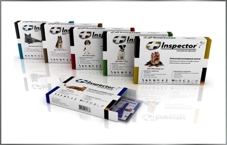 L'inspecteur laisse tomber des chiens