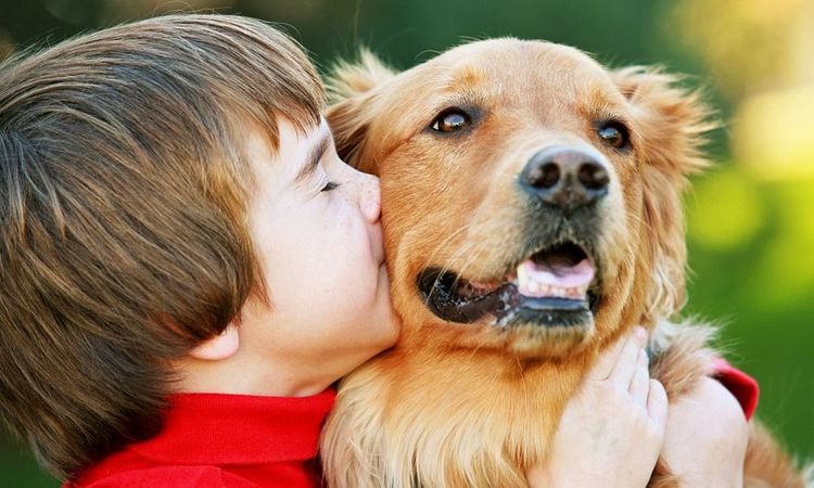 Un enfant serre un chien dans ses bras.