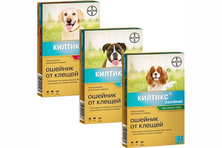 Kiltix : Collier anti-tiques pour chiens