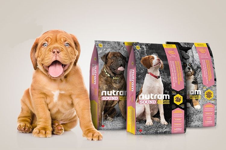 Aliments pour chiens Nutram