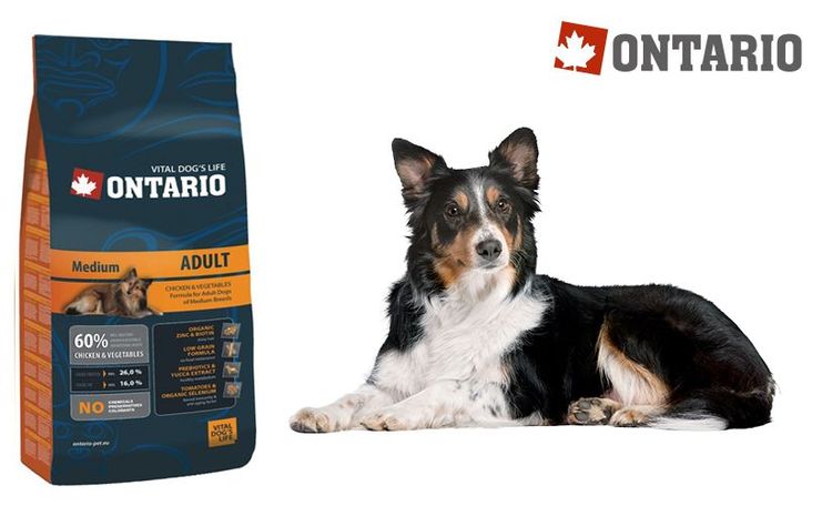 Aliments de l'Ontario pour les races moyennes