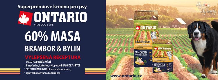 Nourriture pour chiens de l'Ontario