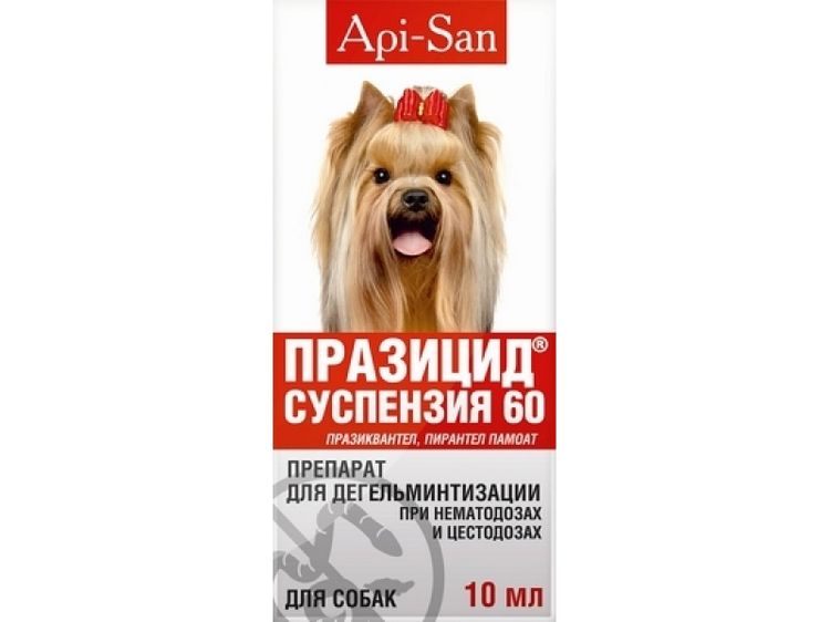 suspension de praziquantel pour chiens