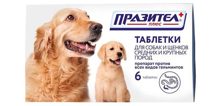 comprimés de prazitel