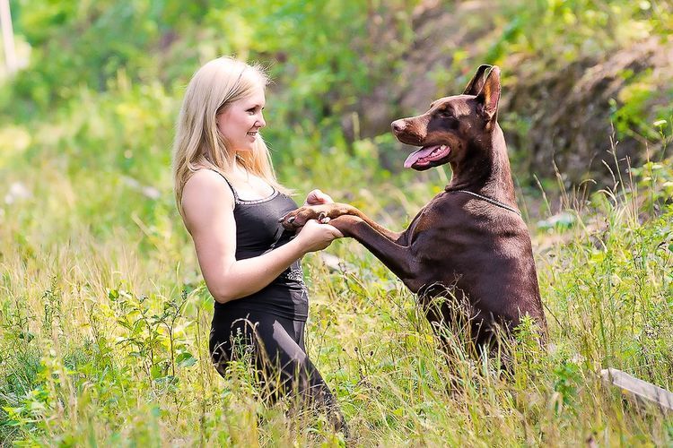 Un doberman et une fille