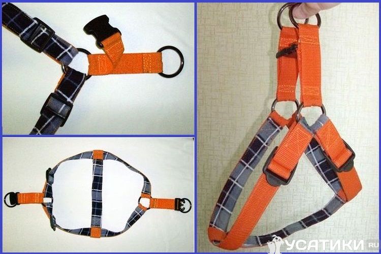 Instructions étape par étape pour fabriquer un harnais pour chien