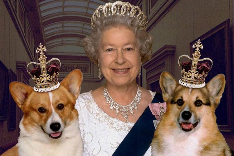 La reine d'Angleterre et ses chiens