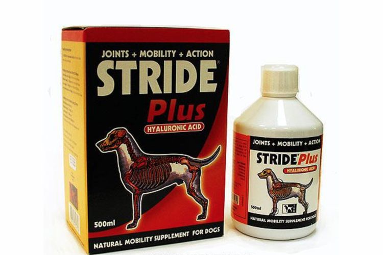 Stride Plus pour chiens