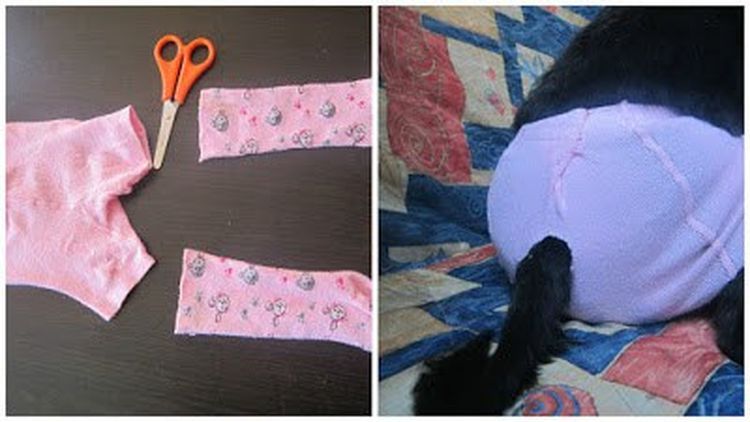 Culotte pour chienne en chaleur