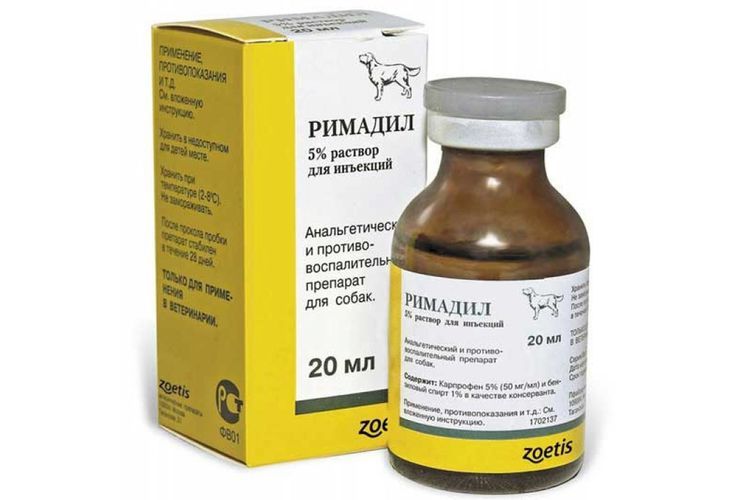 Injection de Rimadyl