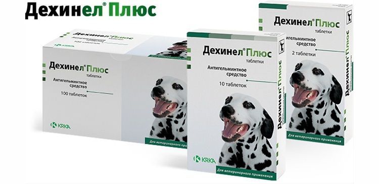 Dehinel Plus pour chiens