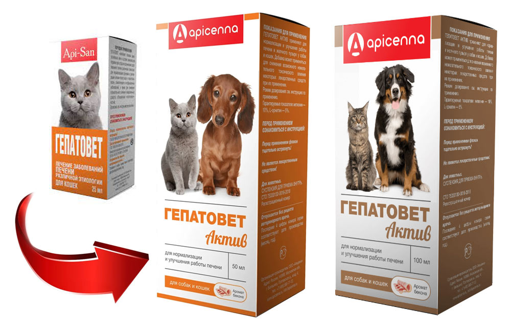Hepatovet et Hepatovet Active