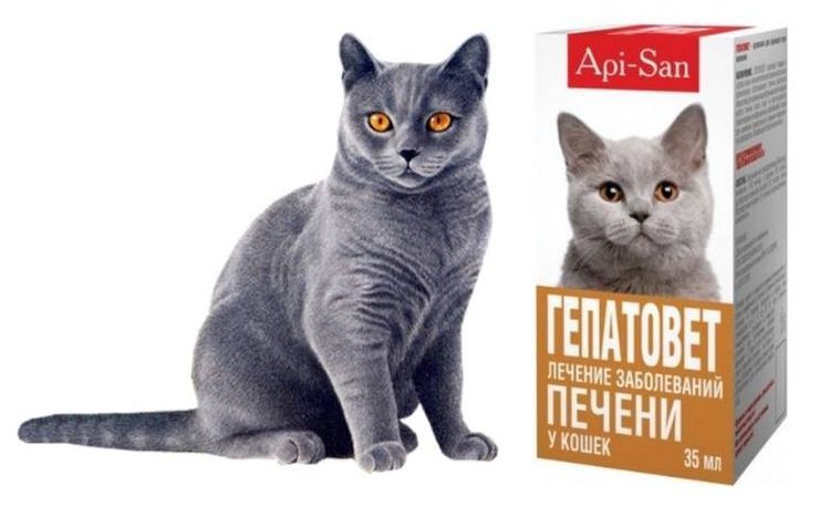 Hepatovet pour chats