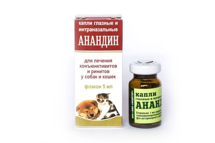 Collyres Anandin pour chiens