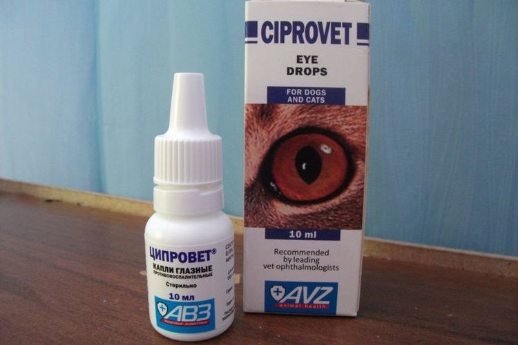 Ciprovet gouttes oculaires pour chiens