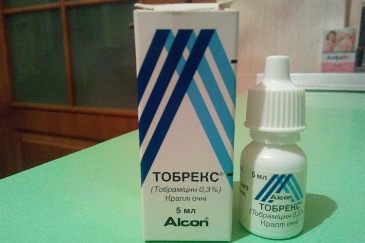 Collyres Tobrex
