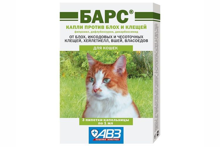 Barres de chute pour chats