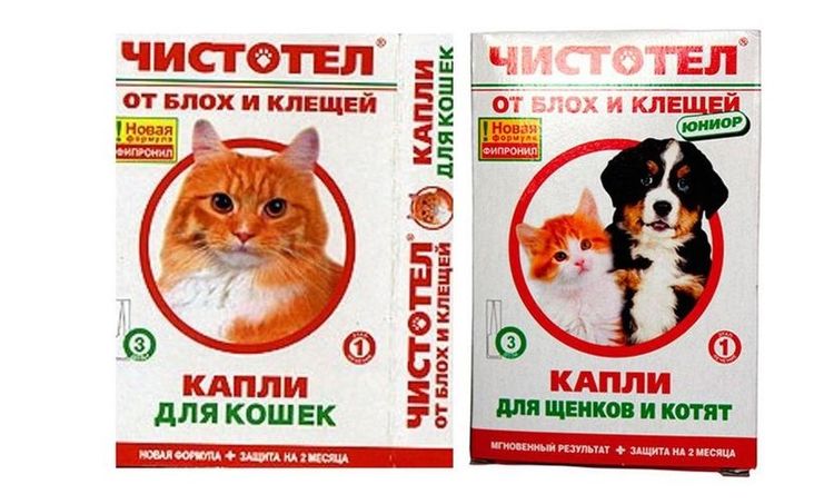 gouttes anti-puces à base de chélidoine