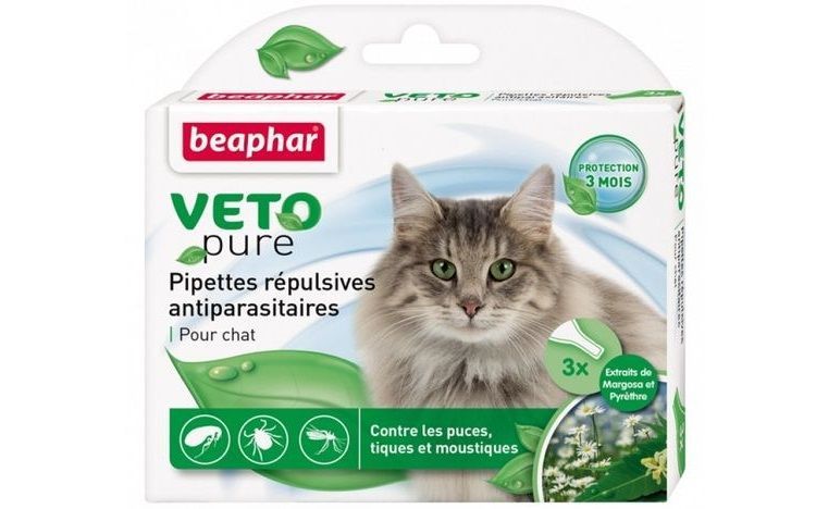 Gouttes anti-puces pour chats