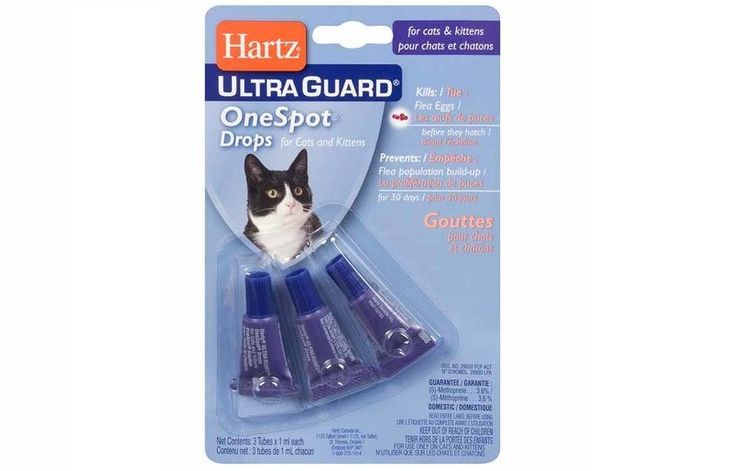 Gouttes anti-puces pour chats