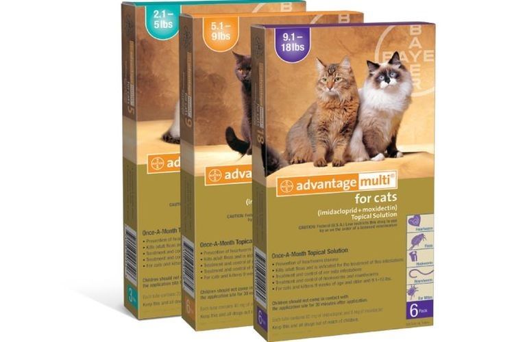 Gouttes anti-puces pour chats