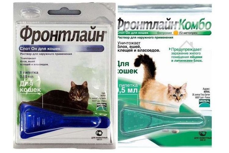 Gouttes anti-puces Frontline pour chats