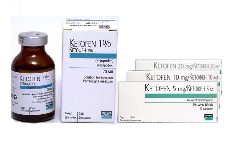 Kétofène pour chiens