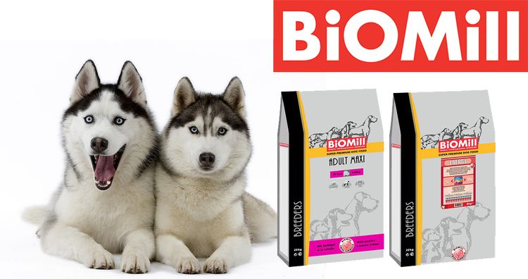 Huskies et nourriture Biomil