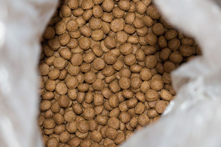 Nourriture sèche préférée