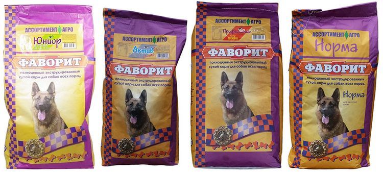 Nourriture préférée pour chien