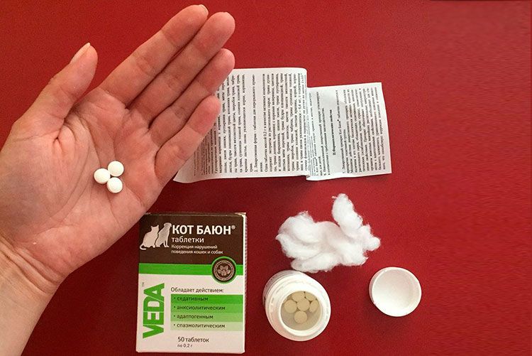 Comprimés Cat Bayun