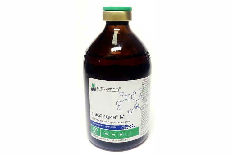 Néozidine pour chiens