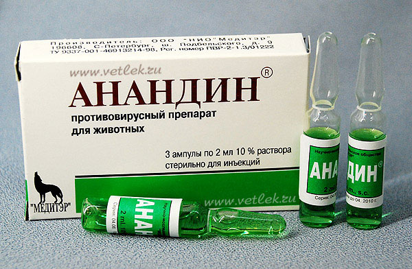 Solution Anandin pour chats