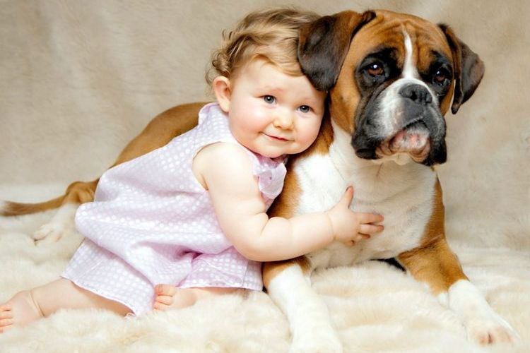 Boxer et enfant