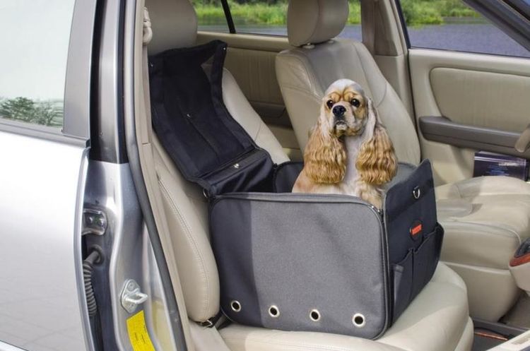 Sac de voiture pour chiens
