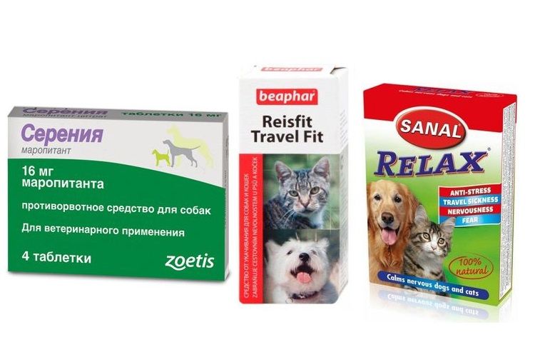 Médicaments contre le mal des transports pour chiens