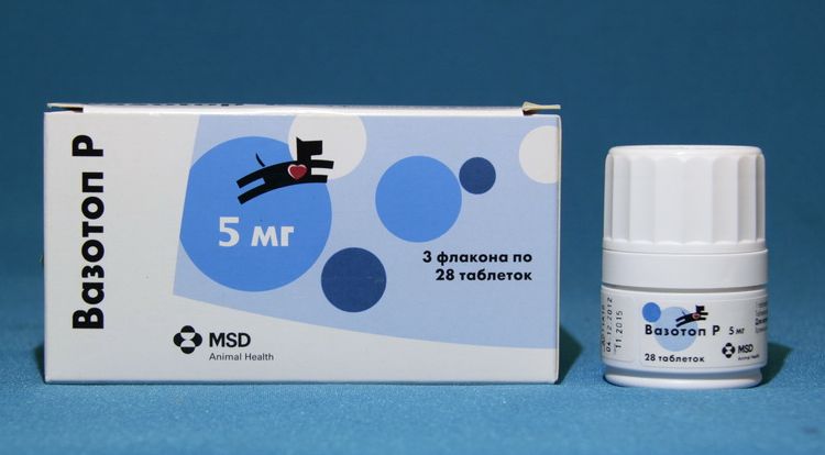 Vasotop R pour chiens