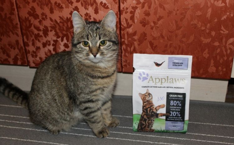 Un chat et un paquet de nourriture Applaws