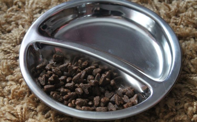 Nourriture dans un bol