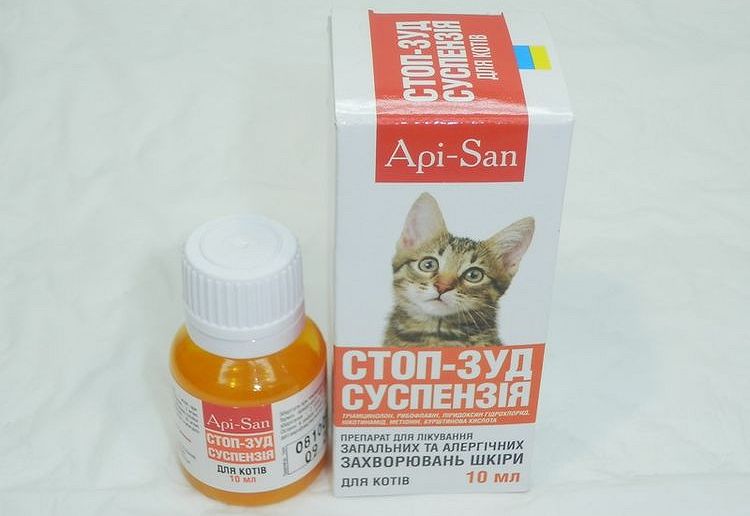 Stop-démangeaisons pour chats