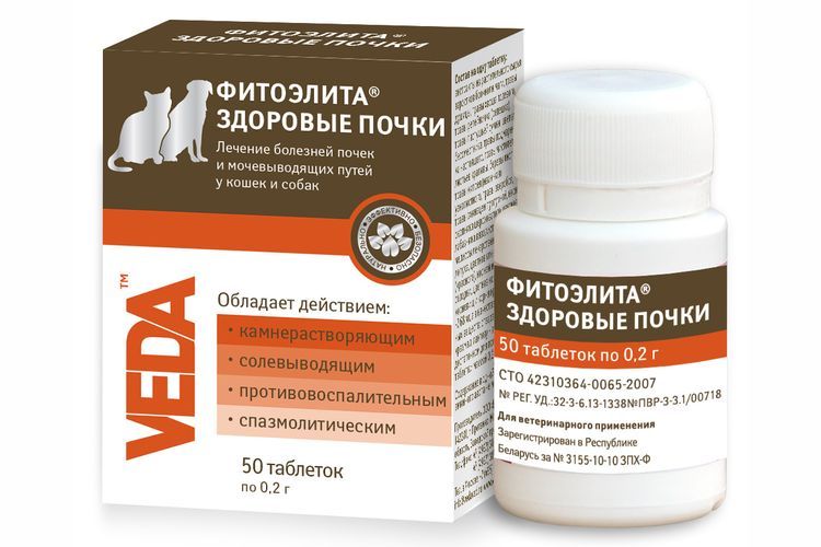 Phytoélite Reins en bonne santé