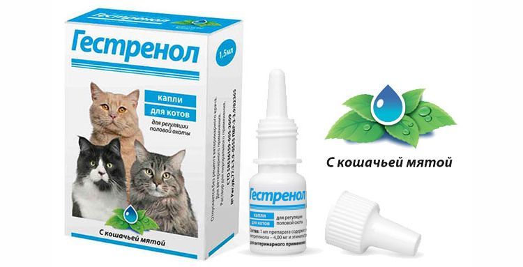 Gouttes de Gestrenol pour chats