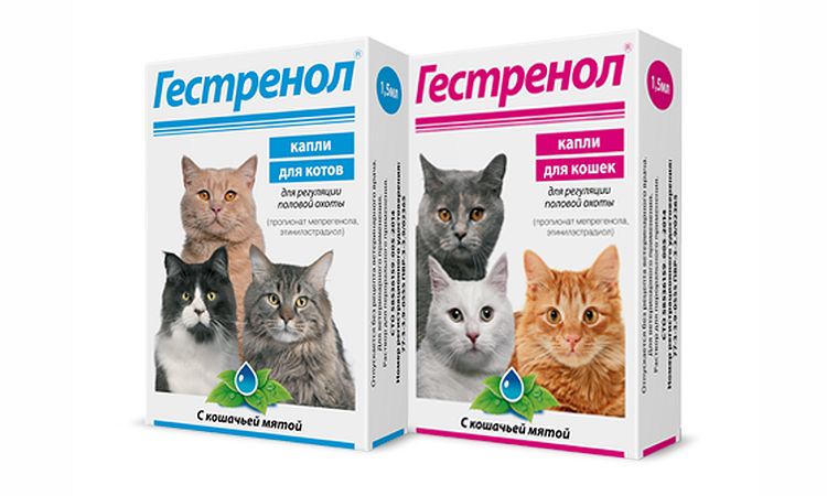 Gouttes de Gestrenol pour chats