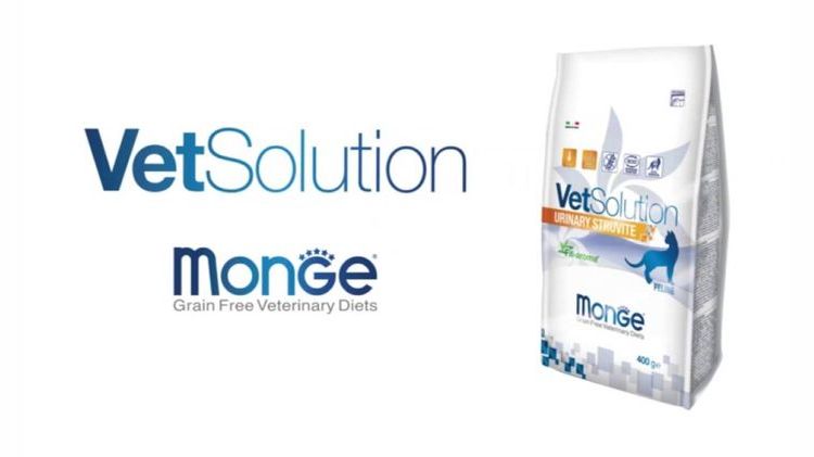 Monge Vetsolution