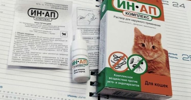 Complexe IN-AP pour chats