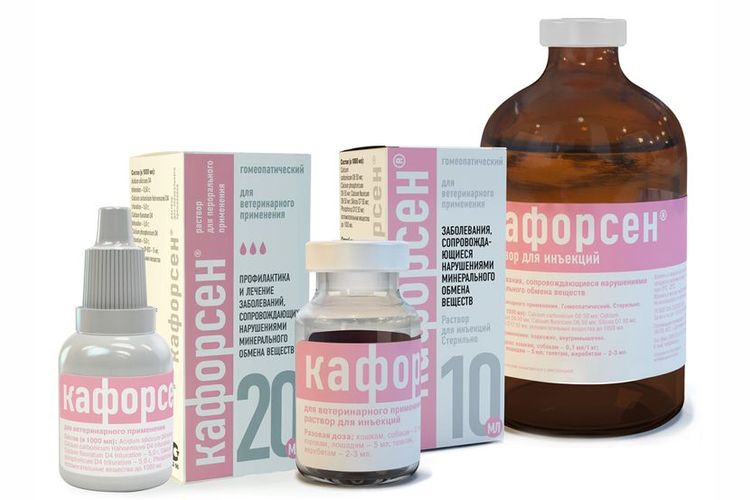 Kaformen pour chiens